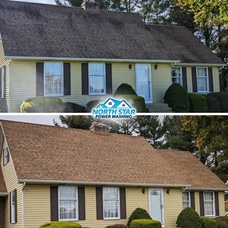 Before and after roof algae removal in mullica hill nj